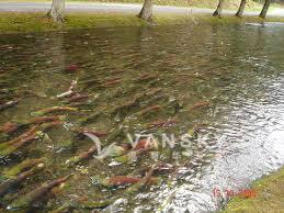 251018023010_images 1.jpg